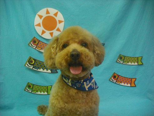 ファイル 3769-1.jpg