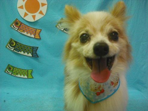 ファイル 3770-1.jpg