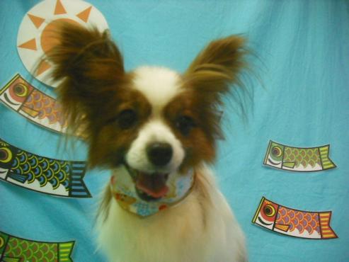 ファイル 3771-1.jpg