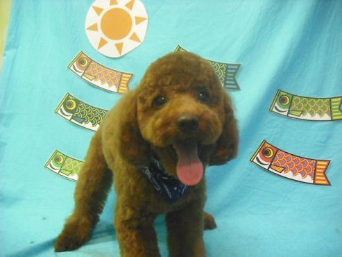 ファイル 3772-1.jpg