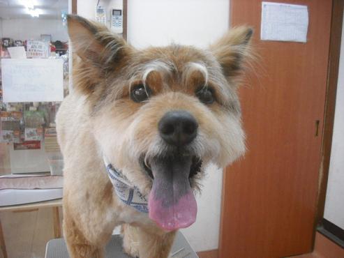 ファイル 3776-1.jpg