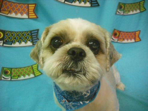 ファイル 3777-1.jpg