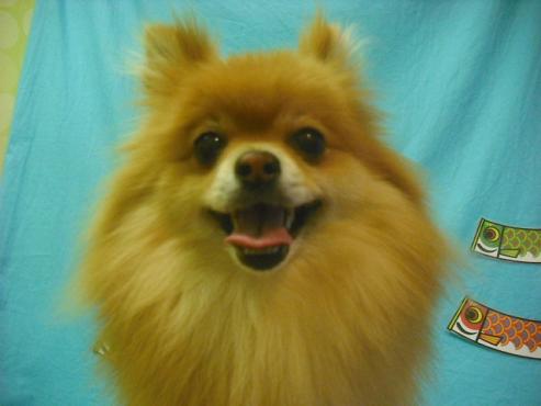 ファイル 3779-1.jpg