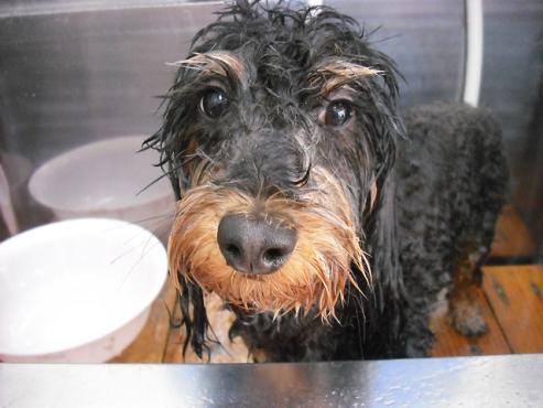 ファイル 378-1.jpg