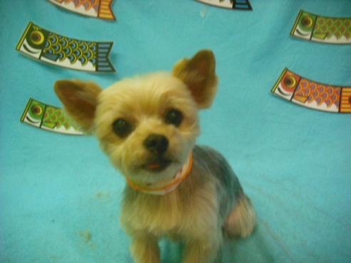 ファイル 3780-1.jpg