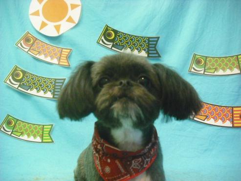 ファイル 3781-1.jpg