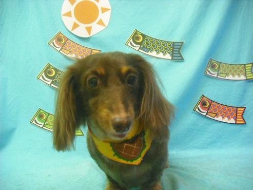 ファイル 3784-1.jpg