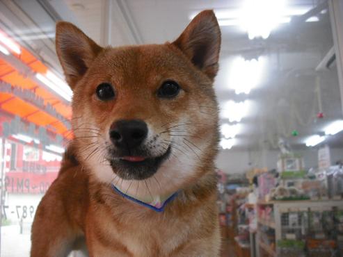 ファイル 379-1.jpg