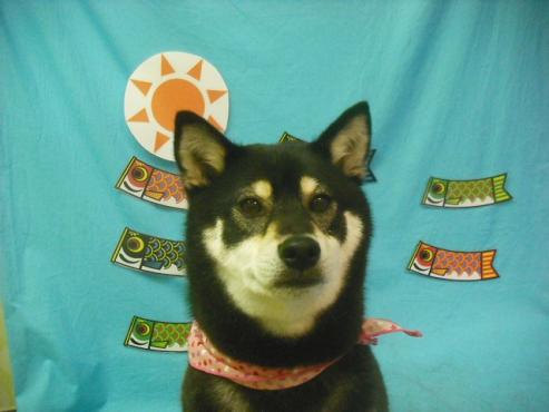 ファイル 3790-1.jpg