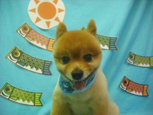 ファイル 3791-1.jpg