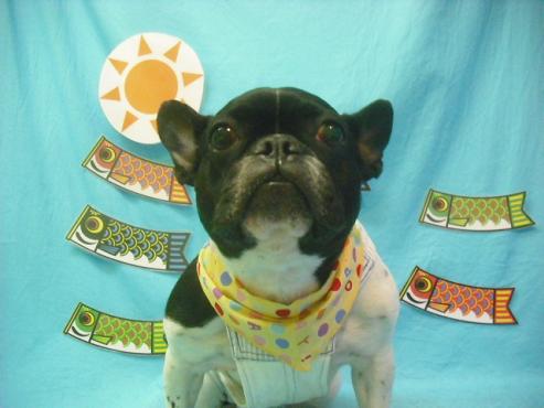 ファイル 3793-1.jpg