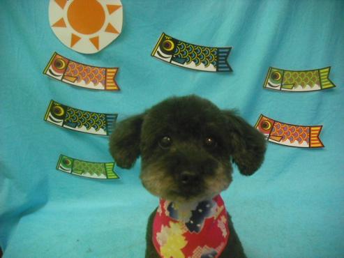 ファイル 3794-1.jpg