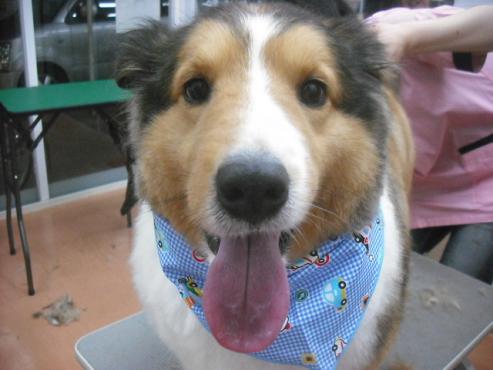 ファイル 3795-1.jpg