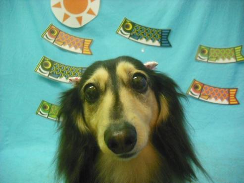 ファイル 3796-1.jpg