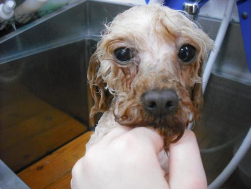 ファイル 38-2.jpg