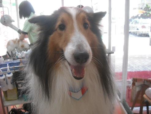 ファイル 3801-1.jpg