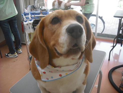 ファイル 3802-1.jpg