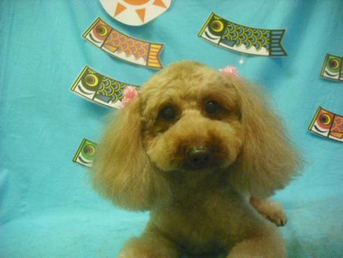 ファイル 3805-1.jpg