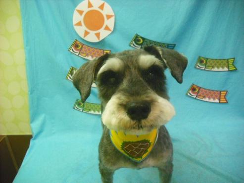 ファイル 3806-1.jpg