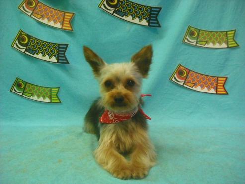 ファイル 3809-1.jpg