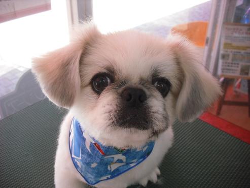 ファイル 381-1.jpg