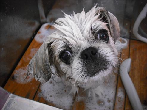 ファイル 381-2.jpg