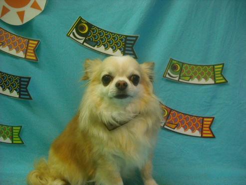 ファイル 3810-1.jpg