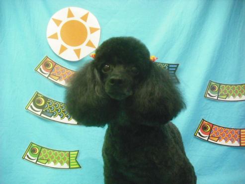 ファイル 3811-1.jpg