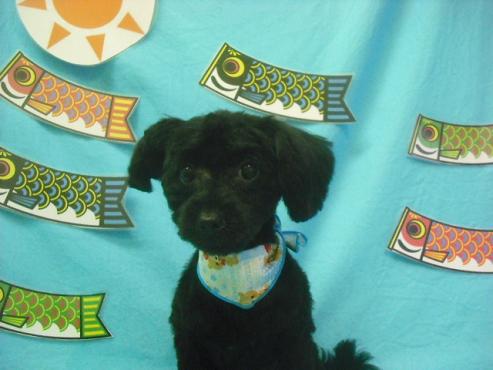 ファイル 3812-1.jpg