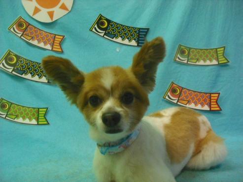 ファイル 3815-1.jpg