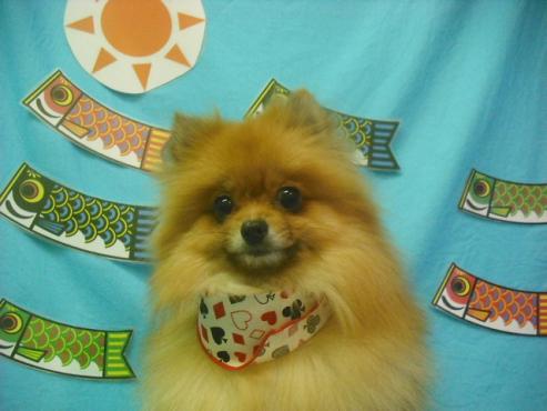 ファイル 3816-1.jpg