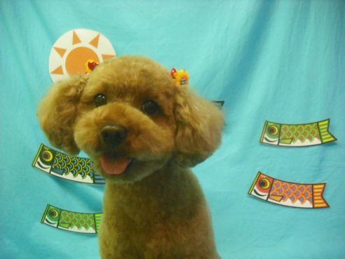 ファイル 3817-1.jpg