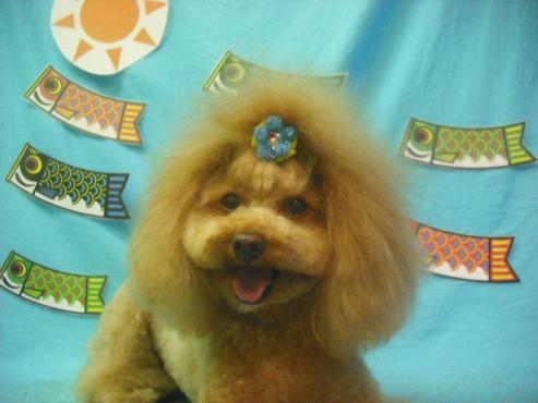 ファイル 3819-1.jpg