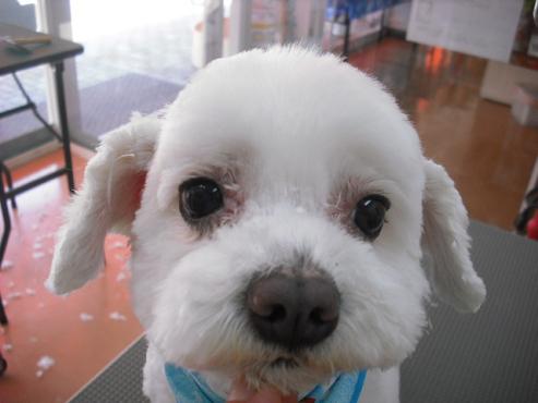 ファイル 382-1.jpg