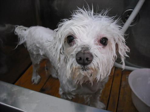 ファイル 382-2.jpg