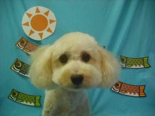 ファイル 3822-1.jpg