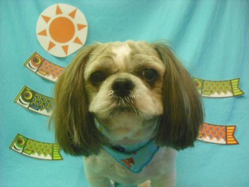 ファイル 3824-1.jpg