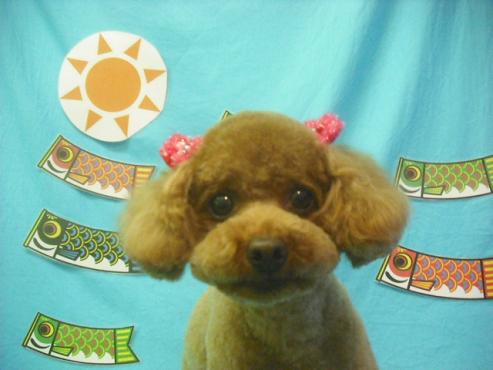 ファイル 3825-1.jpg