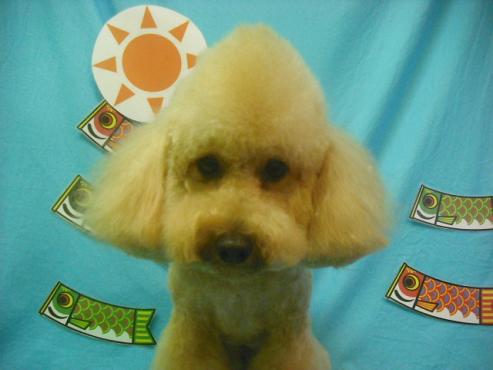 ファイル 3828-1.jpg