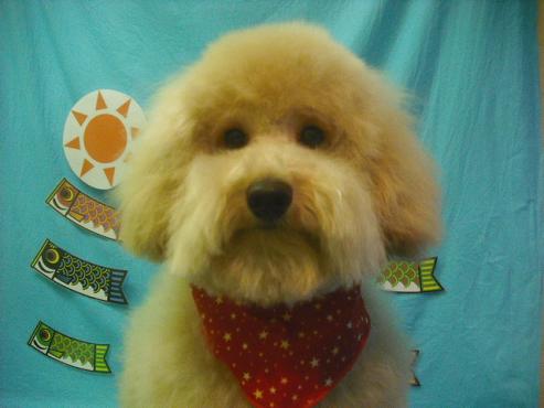 ファイル 3829-1.jpg