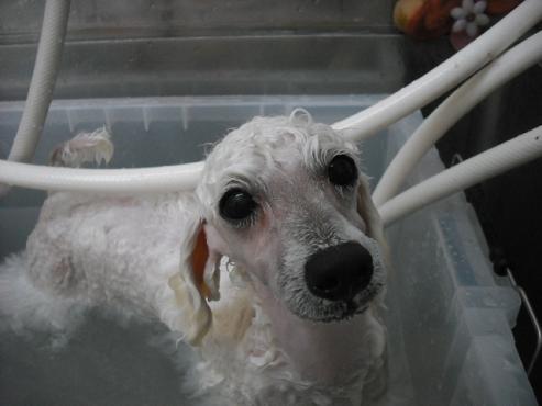 ファイル 384-2.jpg