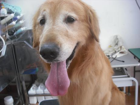 ファイル 3846-1.jpg