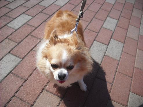 ファイル 385-2.jpg