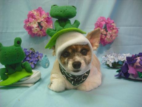 ファイル 3850-1.jpg