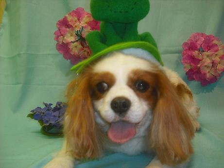 ファイル 3852-1.jpg