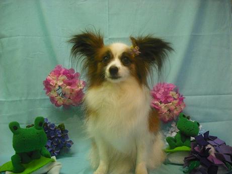 ファイル 3853-2.jpg