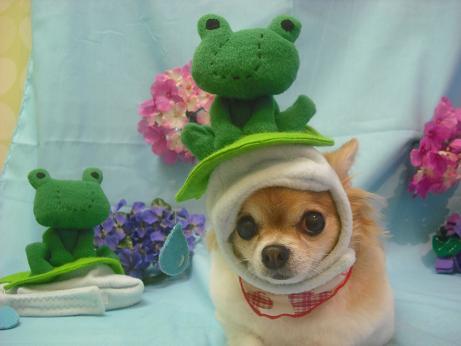 ファイル 3854-1.jpg