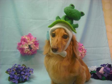 ファイル 3856-1.jpg