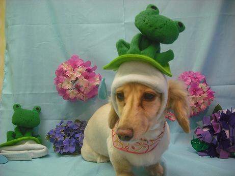 ファイル 3858-1.jpg