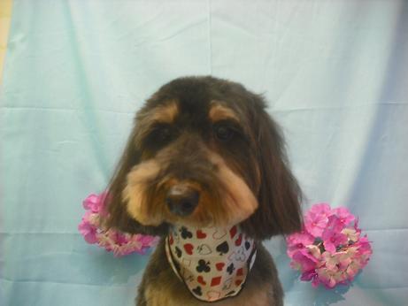 ファイル 3859-2.jpg